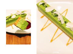 -柴务处·柴犬主题狗咖