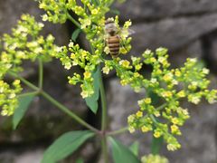 -金堂县云顶石城风景区