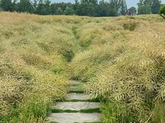 -中国天府农业博览园