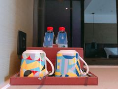 -南京禄口机场雅高铂尔曼大酒店