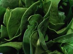 -南门四季铜锅涮肉(大屯·北苑店)