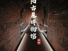 -洛阳古墓博物馆