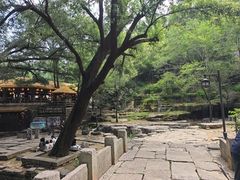 -井塘古村