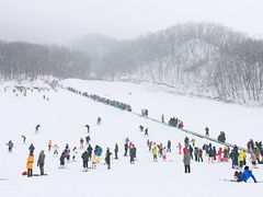 -五家山森林公园滑雪场