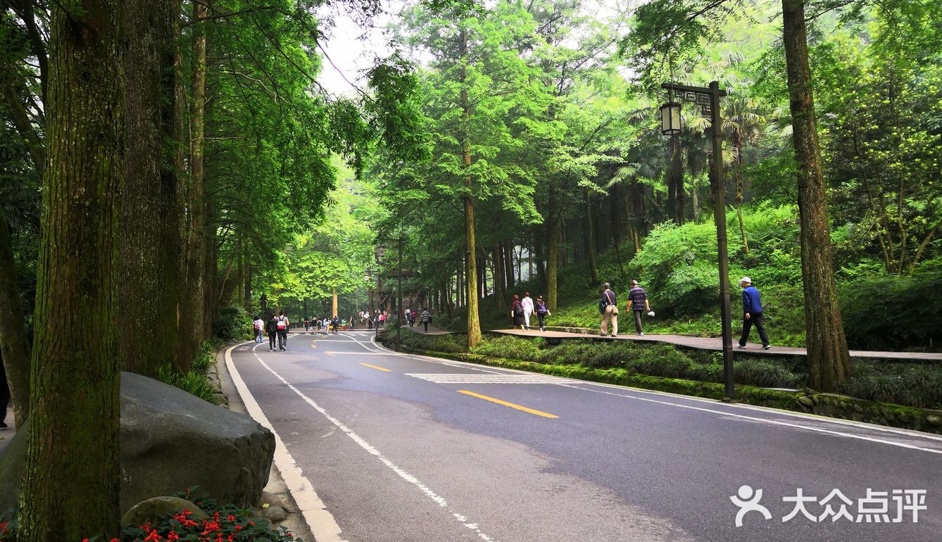 成都市都江堰市青城山景区打卡攻略