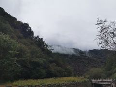 -牛背梁国家森林公园