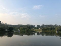 -南沙蒲洲花园