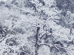 -龙苍沟森林公园