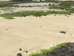 -咸德海水浴场