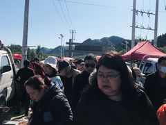 -示范集贸市场
