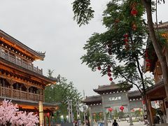 -洋湖国家湿地公园