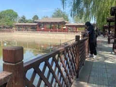 -尚庄度假村·庭台树下·户外烧烤·团建CS·轰趴营地(上庄水库店)
