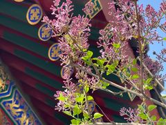 -西安市广仁寺