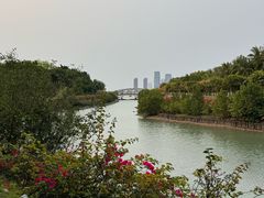 -万绿园