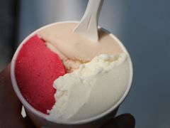 无花果叶-Dip in Gelato(富民路店)