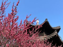 -咱家小院(汉中门店)