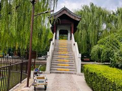 -团结湖公园