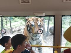 -栾川竹海野生动物园