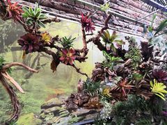 -北京植物园-展览温室