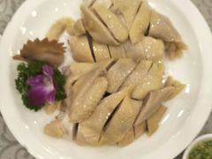 六婶白切清远鸡-六婶西关小厨(光塔路店)