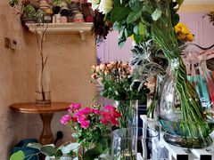 -SONGUOLIFE松果咖啡(七莘路店)