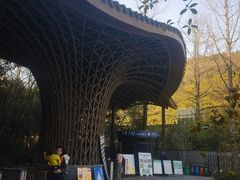 -东明山森林公园