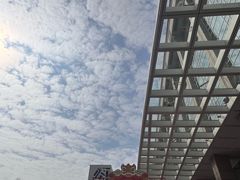 -上海国际会议中心-停车场