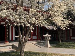 -大慈恩寺(大雁塔)