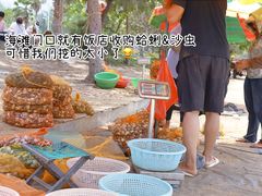 -红树林天天赶海
