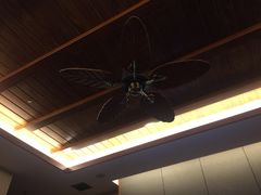 -BODHI SOCIETY足疗(燕郊国道店)