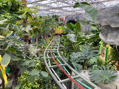 -南宫五洲植物乐园