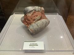 -浙江自然博物院(杭州馆)