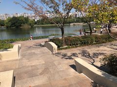 -新江湾城公园