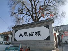 -柳沟豆腐宴69号福豆堂