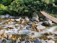 -沣峪口
