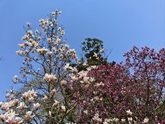 -玄武湖景区-情侣园游乐场