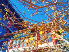 -大明幻境第一城