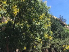 -北京凤凰岭