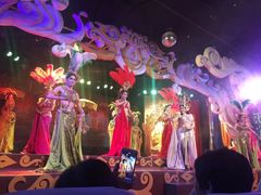 -金东尼人妖秀