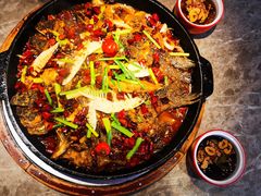 -老板恋上鱼(恒隆广场店)