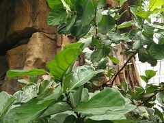 -龙达温泉生态城