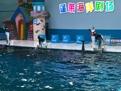 -蓬莱欧乐堡海洋极地世界