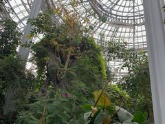 -郑州植物园