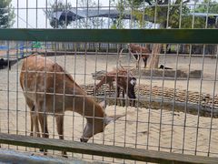 -武汉紫薇都市田园