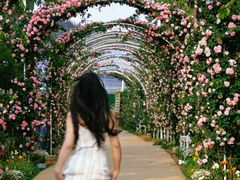 -名花谷生态庄园