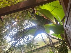 -金稼园·金平湖农家菜