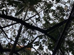 -东山茶寮(新安店)