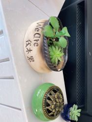 -尚艺造型.剪烫染.接发