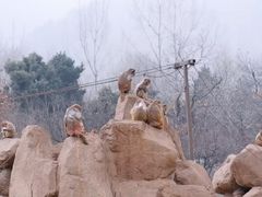 -西安秦岭野生动物园