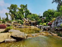 -东莞植物园